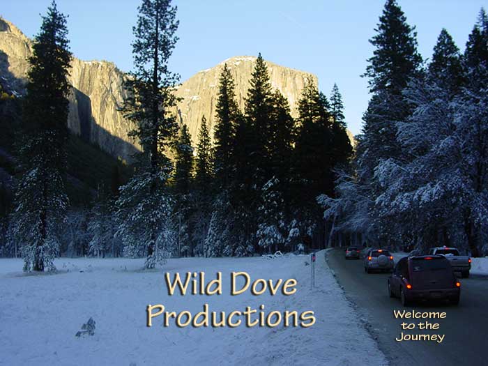 Wild Dove Productions Title Page