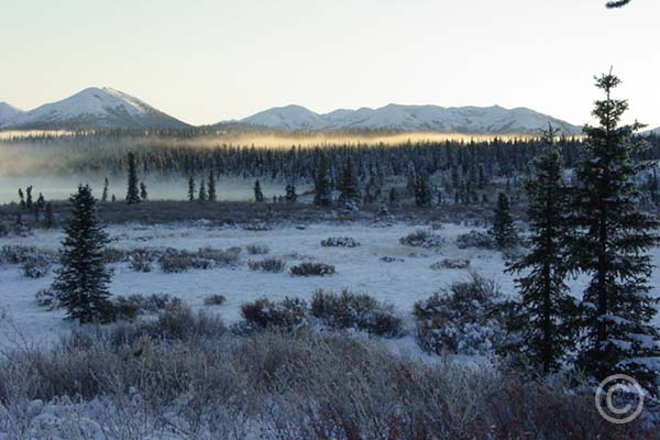 Winter-near-the-Arctic-Circle